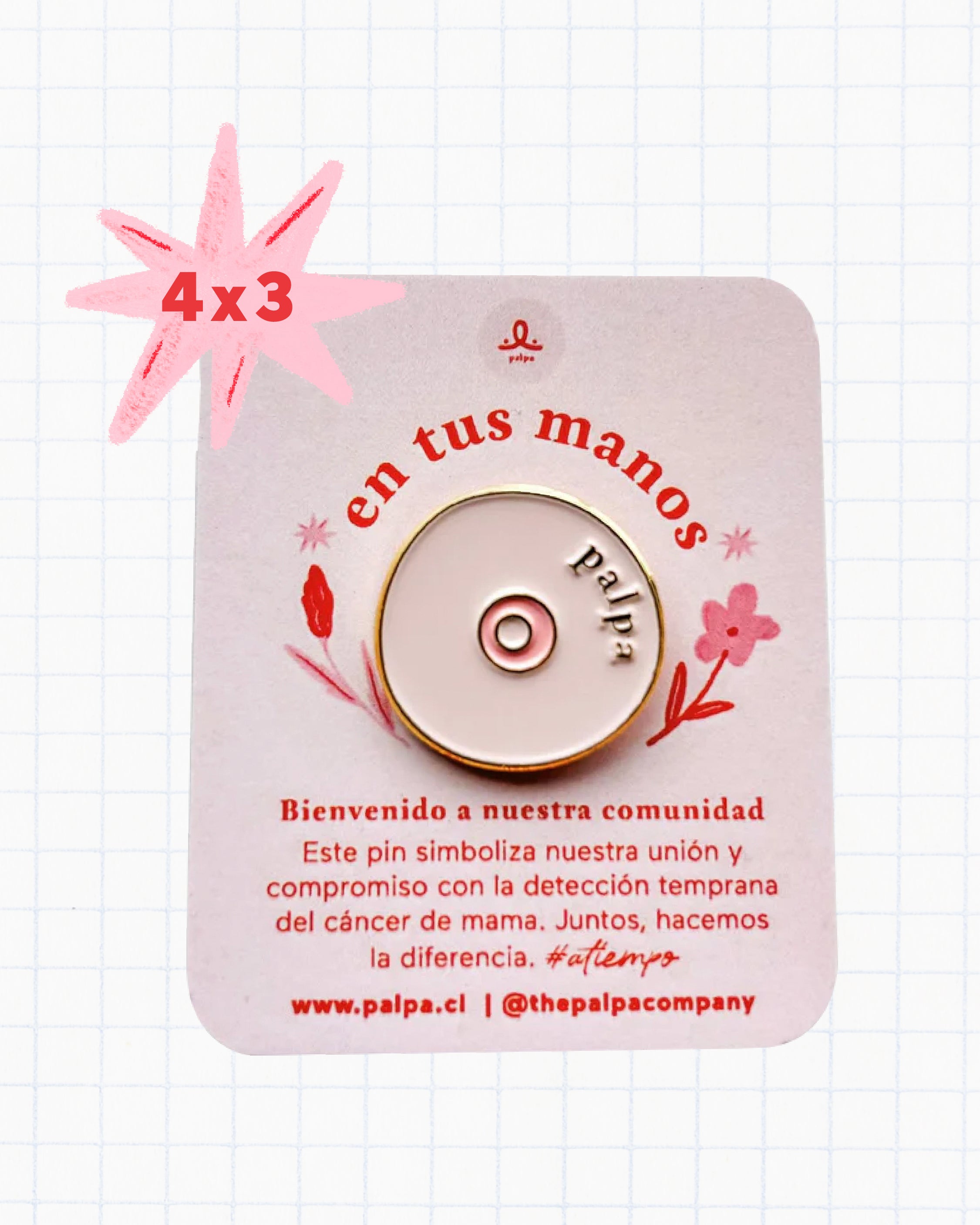 Pin Palpa The Palpa Company