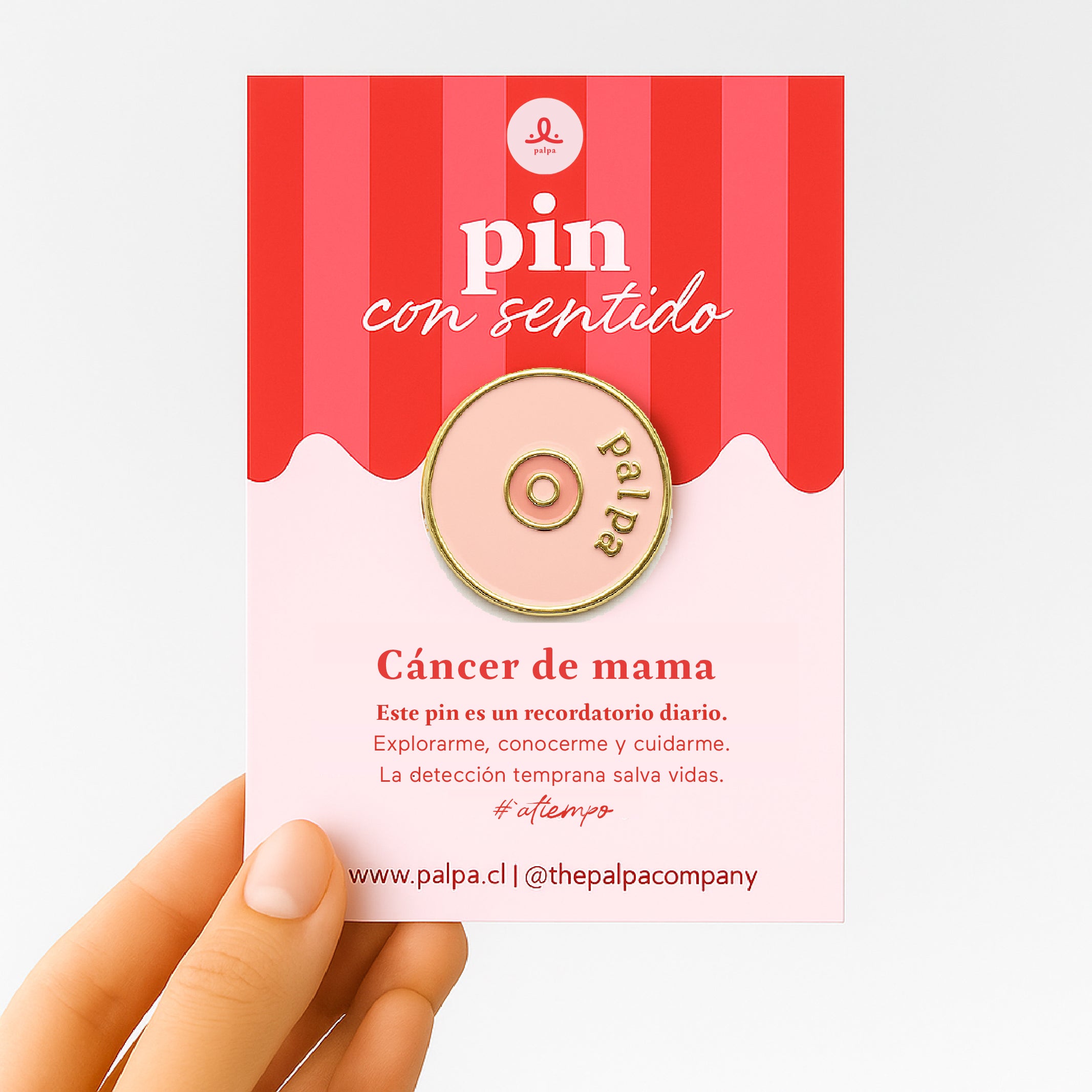Pin Palpa